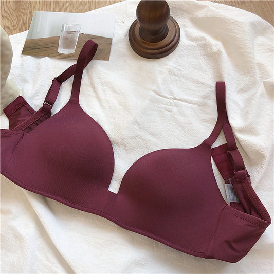 Ice Silk Bra for Women Comfort Wireless Gather Sexy Underwear for Women Push up Simple Lingerie Seamless Brassiere Bralettle